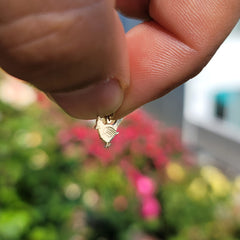 Colgante de pájaro cardenal de oro de 14 quilates o 18 quilates
