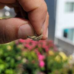 Colgante de pájaro cardenal de oro de 14 quilates o 18 quilates