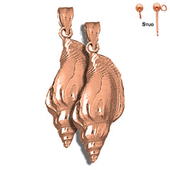 Aretes de concha de caracola de oro de 14 quilates o 18 quilates de 35 mm