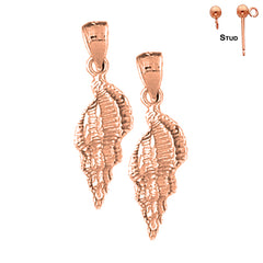 14K or 18K Gold Conch Shell Earrings