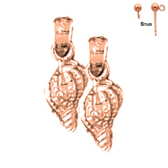 14K or 18K Gold Conch Shell Earrings