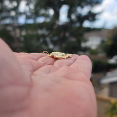 10K, 14K or 18K Gold Truck Pendant