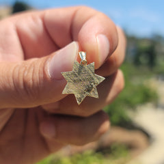 14K or 18K Gold California Highway Patrol Pendant