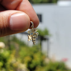 14K or 18K Gold N.P. Nurse Practitioner Pendant
