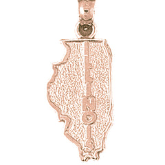 10K, 14K or 18K Gold Illinois Pendant
