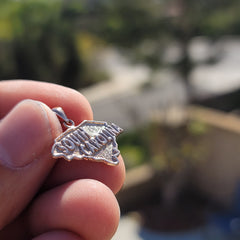 14K or 18K Gold South Carolina Pendant