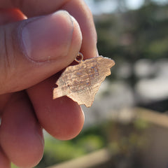 Colgante de Carolina del Sur de oro de 14 quilates o 18 quilates