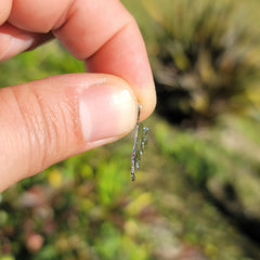 14K oder 18K Gold Bulle, Stierkampf Anhänger