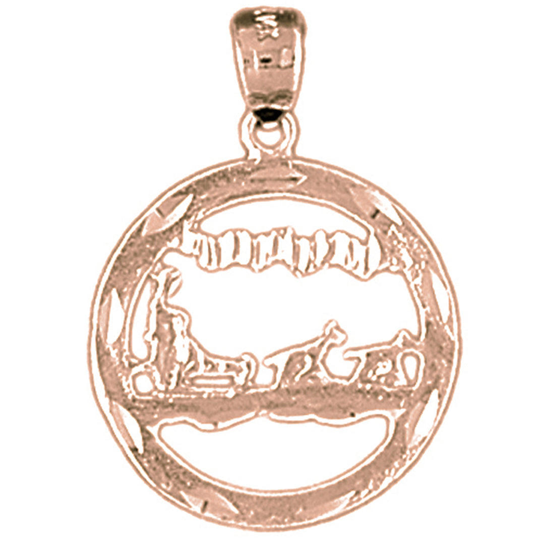 14K or 18K Gold Dog Sled Pendant