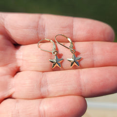 Colgante Estrella de Oro de 14K o 18K