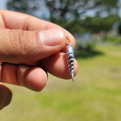 10K, 14K or 18K Gold Solid Italian Horn Pendant