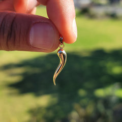 10K, 14K or 18K Gold Solid Italian Horn Pendant