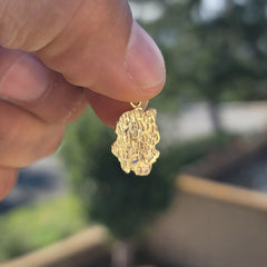 Colgante de pepita "14K" de oro de 14 quilates o 18 quilates