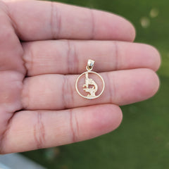 14K or 18K Gold Microscope Pendant