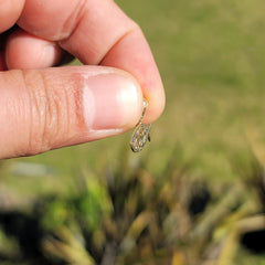 14K oder 18K Gold Ochsenaugenfisch Anhänger