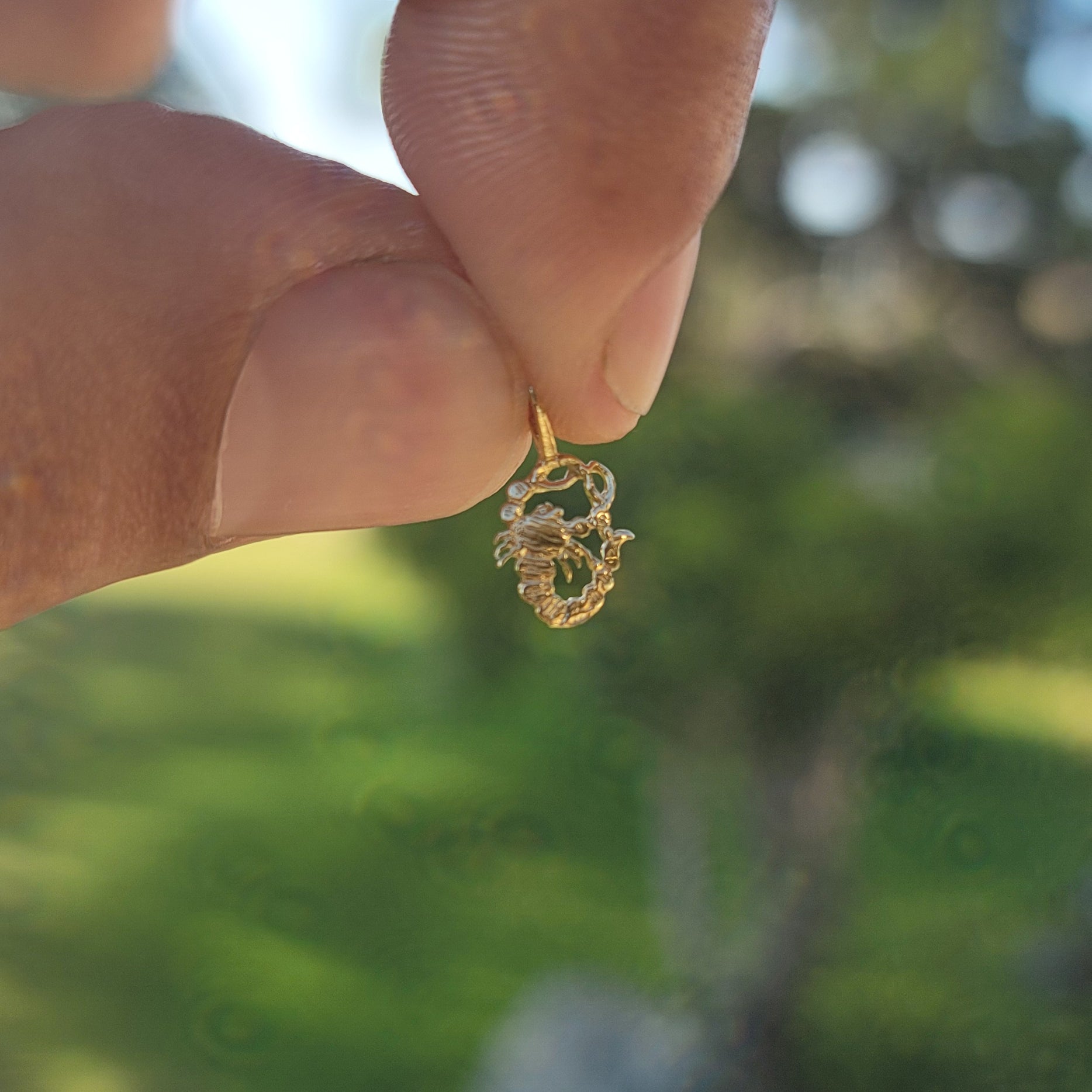 14K or 18K Gold Zodiac - Scorpio Pendant