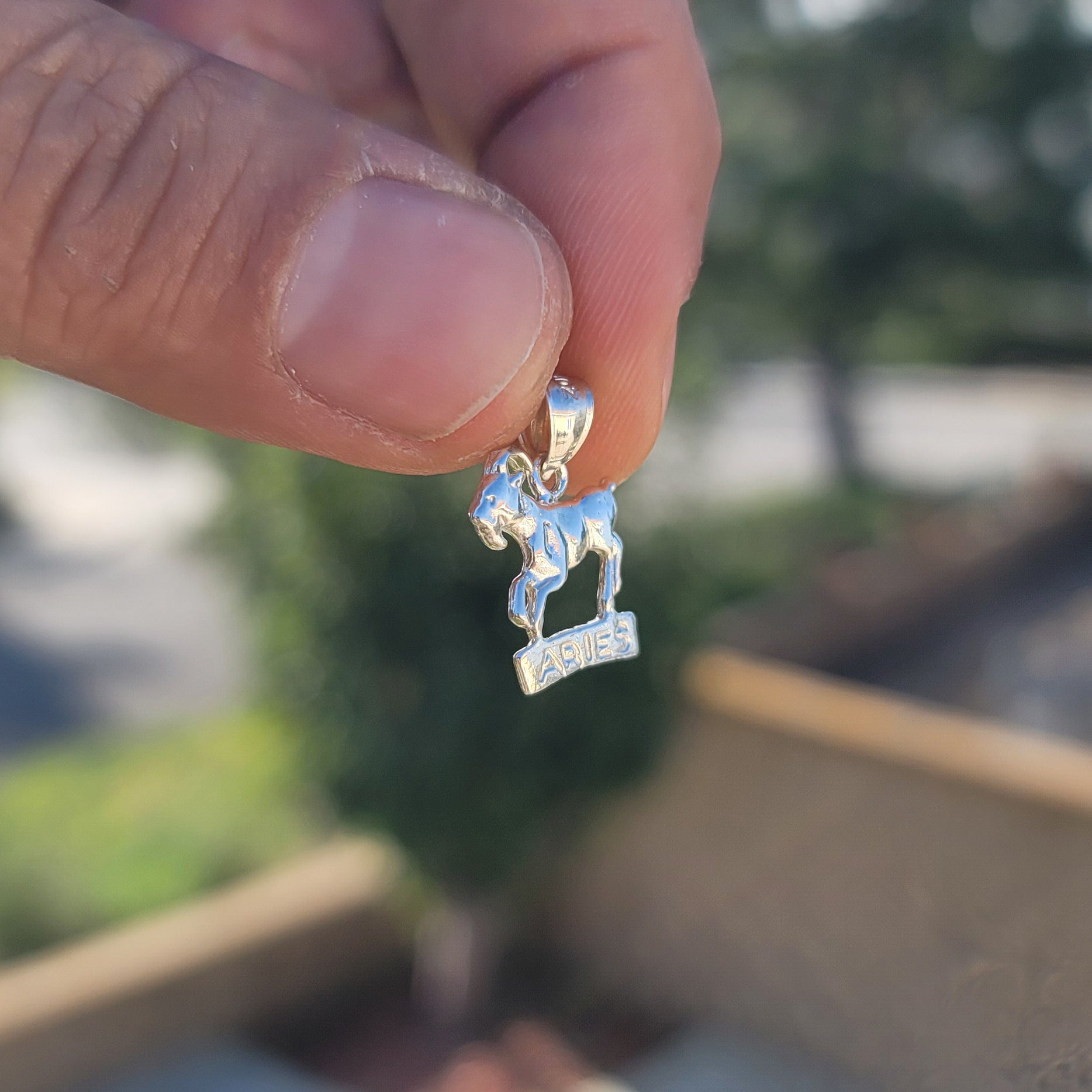 14K or 18K Gold Zodiac - Aries Pendant