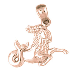 14K or 18K Gold Zodiac - Capricorn Pendant