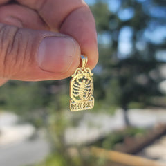 14K or 18K Gold Zodiac - Scorpio Pendant