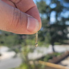 14K or 18K Gold Zodiac - Scorpio Pendant