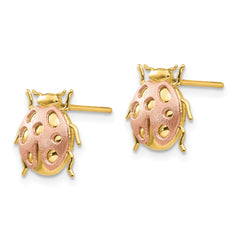 14K Two-Tone Gold Ladybug Post Earrings