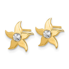 14K Two-Tone Gold Starfish Post Earrings