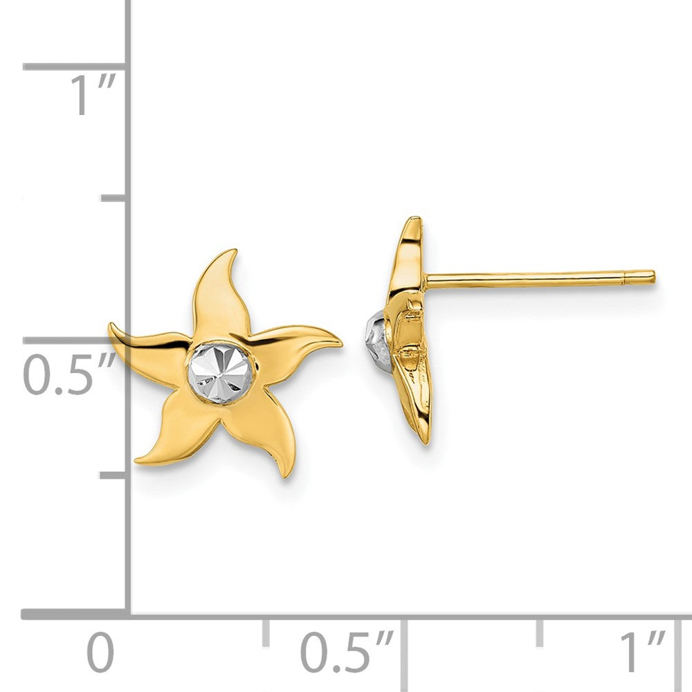 14K Two-Tone Gold Starfish Post Earrings