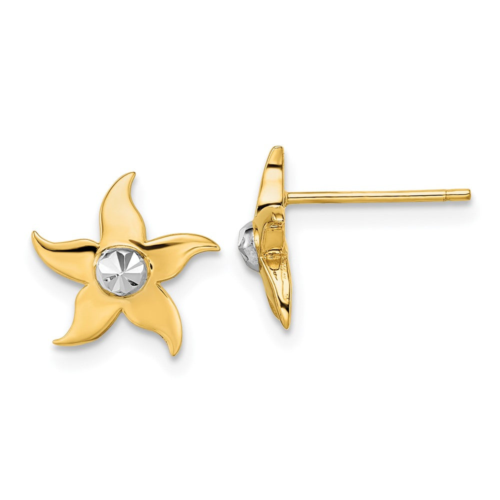 14K Two-Tone Gold Starfish Post Earrings