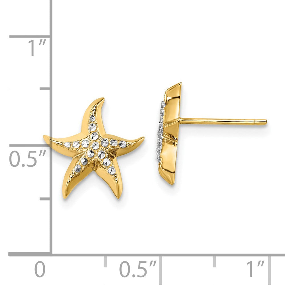 14K Two-Tone Gold Starfish Post Earrings