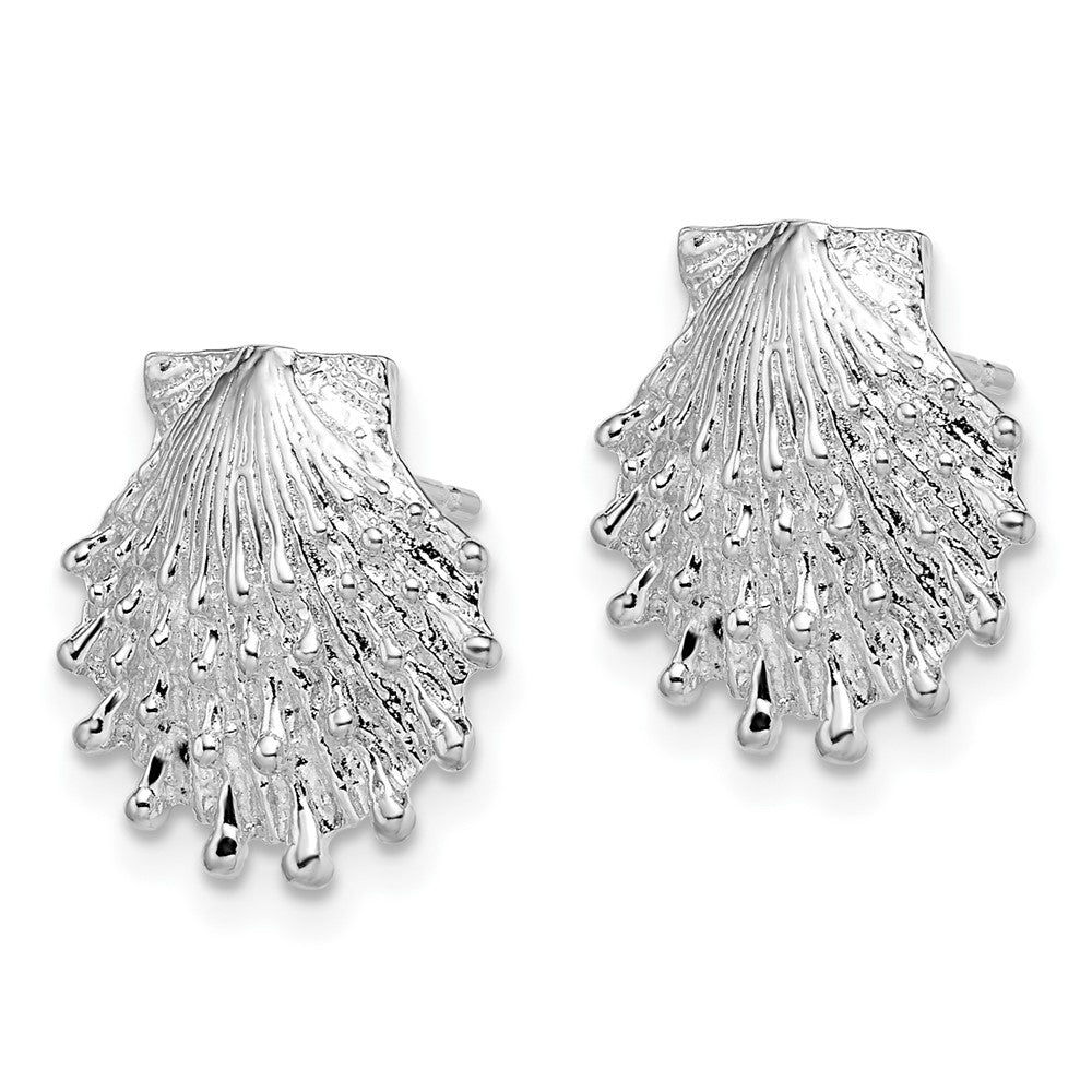 Sterling Silver Polished Lions Paw Shell Post Earrings