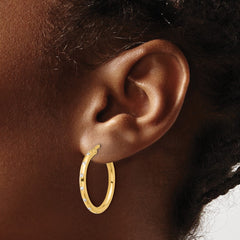 14K Yellow Gold Polished CZ Hoop Earrings