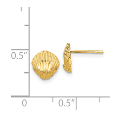 14K Yellow Gold Diamond-cut Shell Earrings