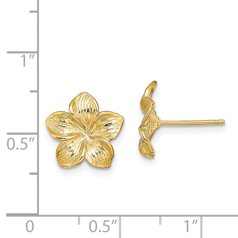 14K Yellow Gold Plumeria Flower Post Earrings
