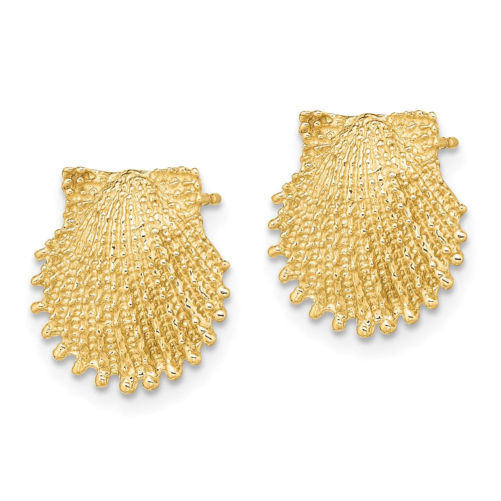 14K Yellow Gold Beaded Scallop Shell Post Earrings