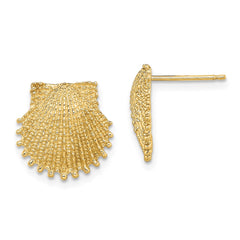 14K Yellow Gold Beaded Scallop Shell Post Earrings