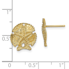 14K Yellow Gold Textured Sand Dollar Earrings