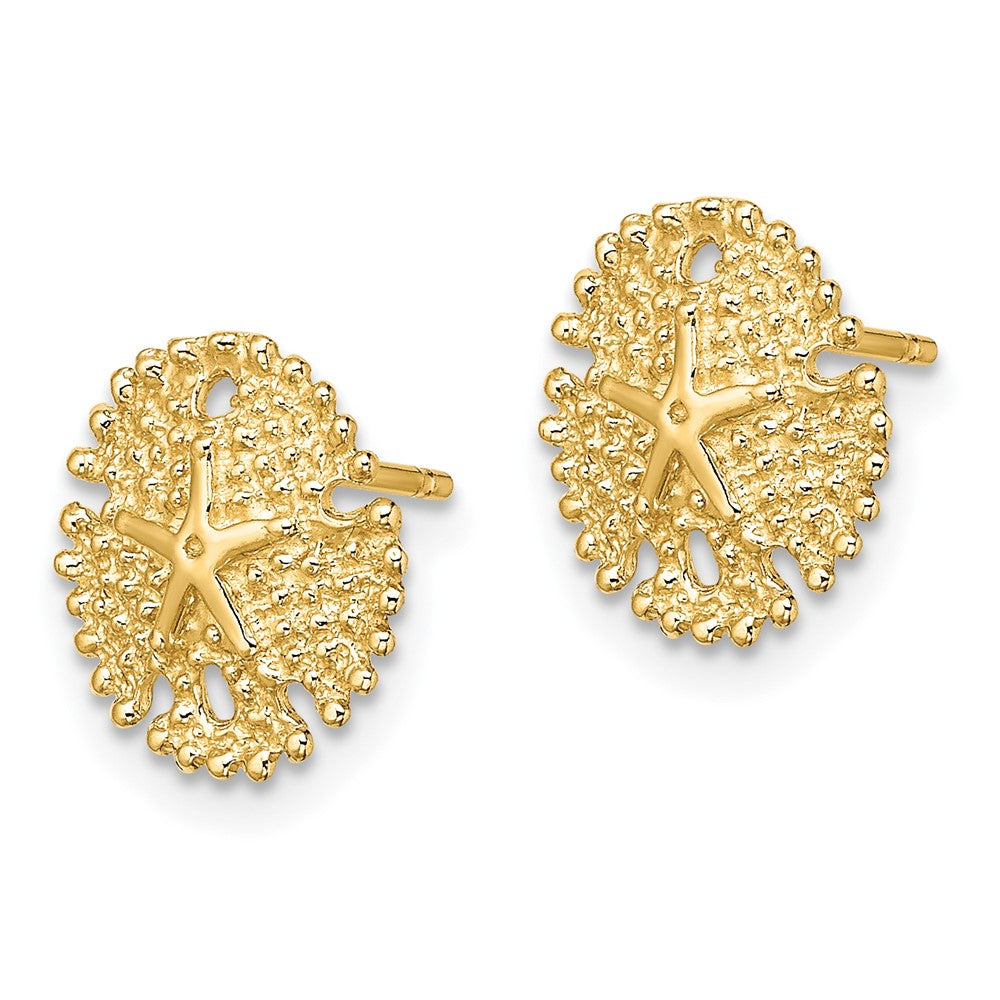 14K Yellow Gold Textured Sand Dollar Post Earrings