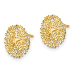 14K Yellow Gold Textured Sand Dollar Post Earrings