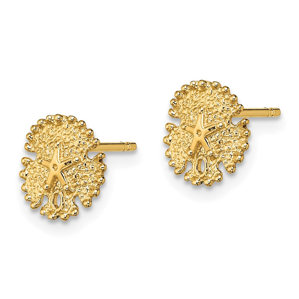 14K Yellow Gold Textured Sand Dollar Post Earrings