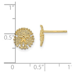 14K Yellow Gold Textured Sand Dollar Post Earrings