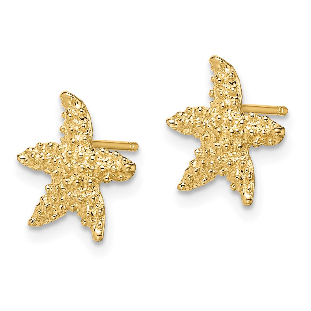 14K Yellow Gold Textured Starfish Post Earrings