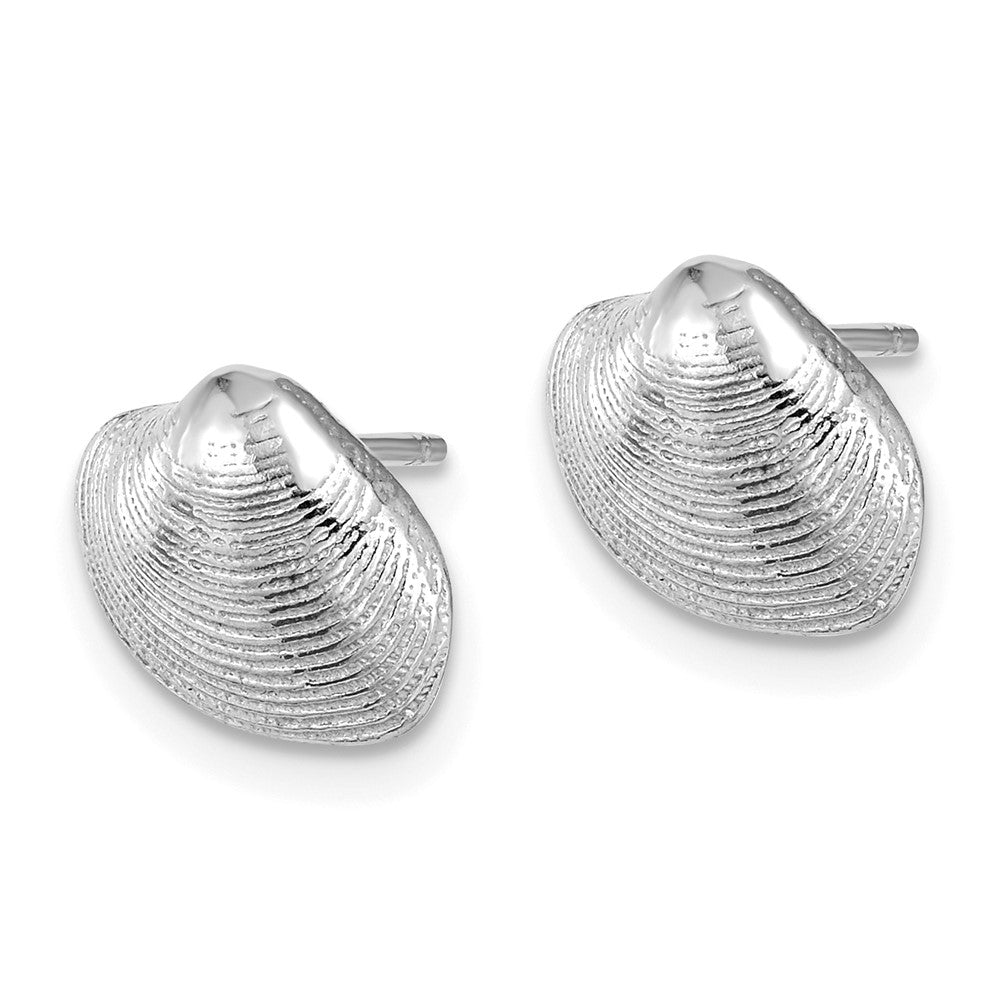 14K White Gold Clam Shell Post Earrings