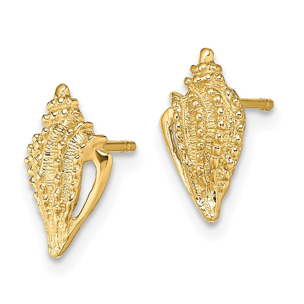 14K Yellow Gold Mini Conch Shell Post Earrings
