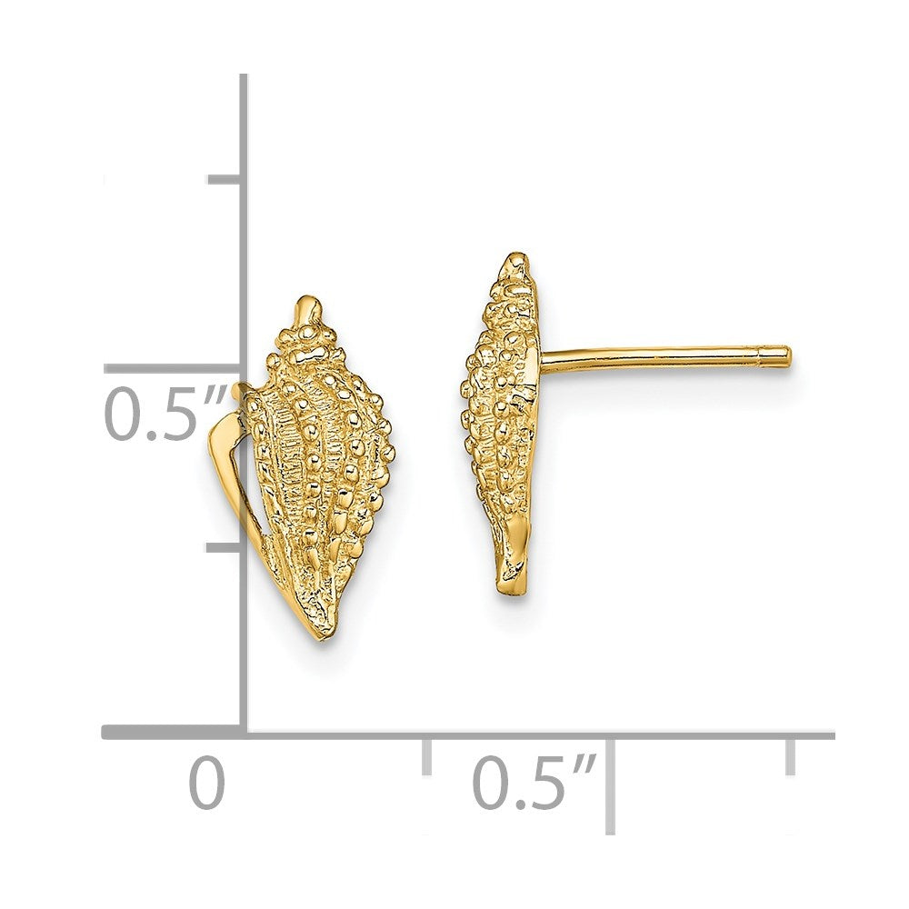 14K Yellow Gold Mini Conch Shell Post Earrings