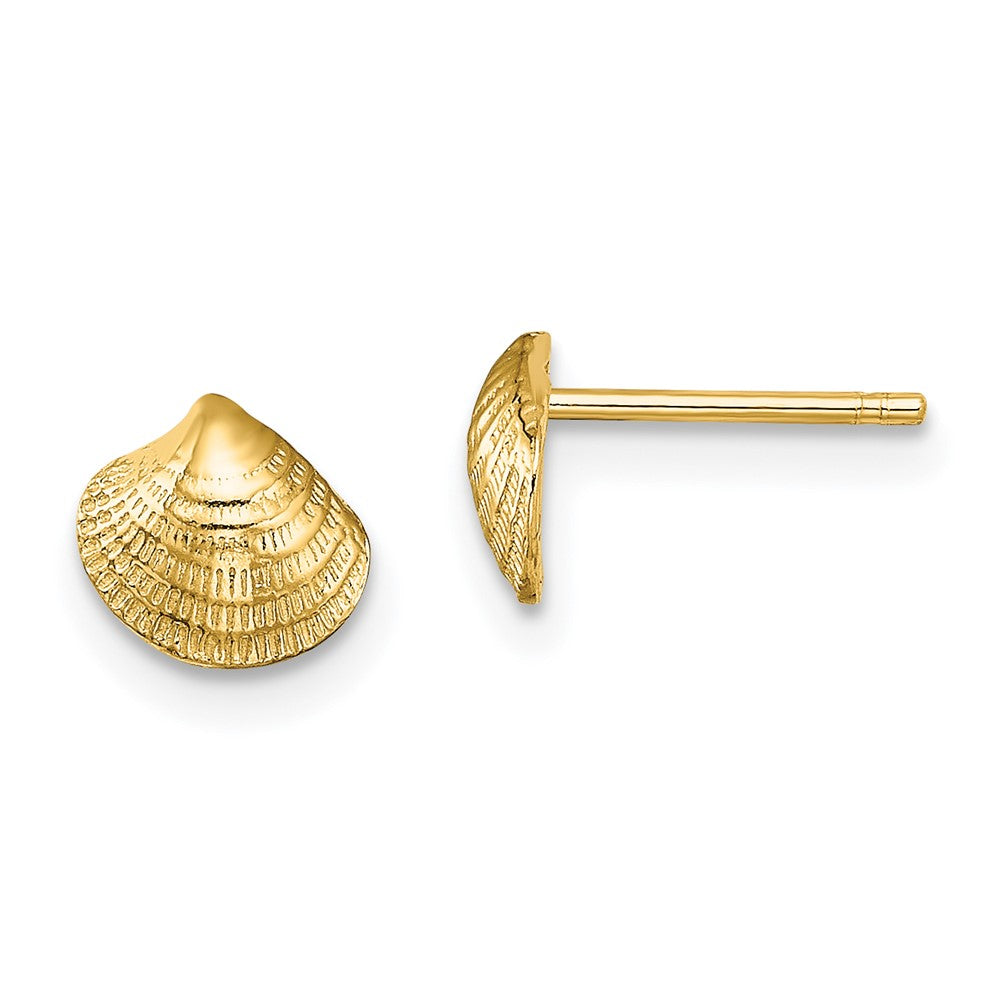 14K Yellow Gold Mini Clam Shell Post Earrings
