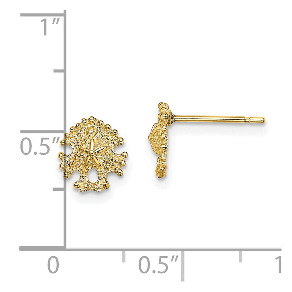 14K Yellow Gold Mini Sand Dollar Post Earrings