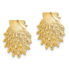 14K Yellow Gold Lion's Paw Shell Post Earrings
