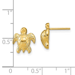 14K Yellow Gold Turtle Post Earrings