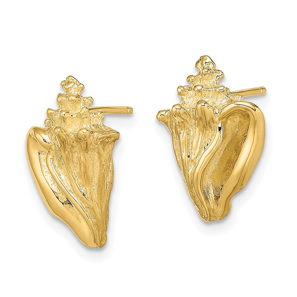 14K Yellow Gold 2D Conch Shell Post Earrings