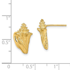 14K Yellow Gold 2D Conch Shell Post Earrings